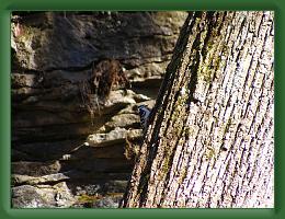 Moquoketa_Caves (40) * 3072 x 2304 * (1.5MB)